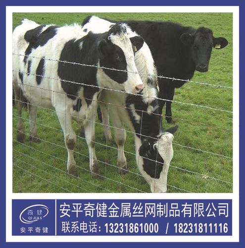 加工定做牛栏网草原围网，为养殖圈养牲畜提供可靠防护